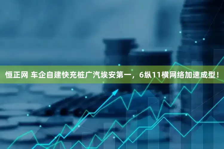 恒正网 车企自建快充桩广汽埃安第一，6纵11横网络加速成型！