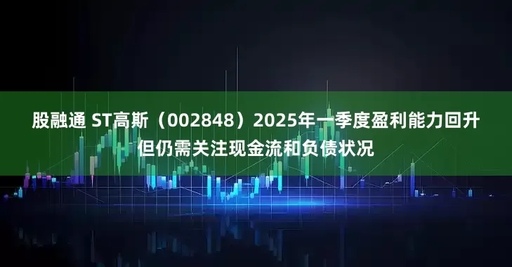 股融通 ST高斯（002848）2025年一季度盈利能力回升但仍需关注现金流和负债状况
